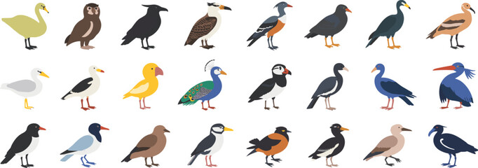 Fototapeta premium Collection of diverse bird illustrations Keywords: birds, collection, diverse, species