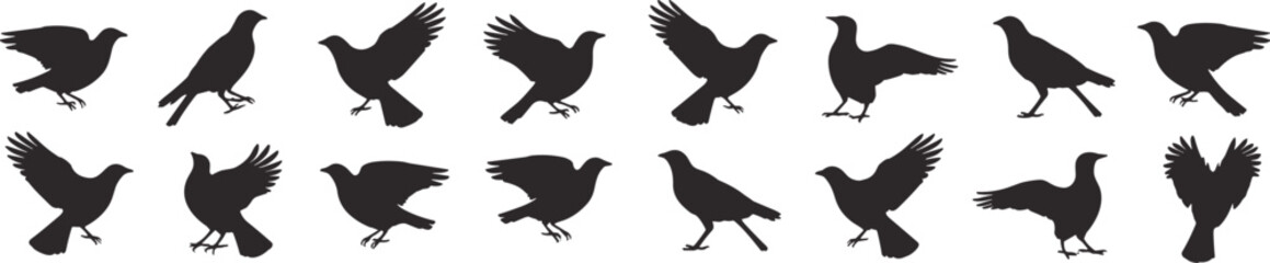 Fototapeta premium Silhouettes of birds in flight and perched on white background Keywords: bird, silhouette