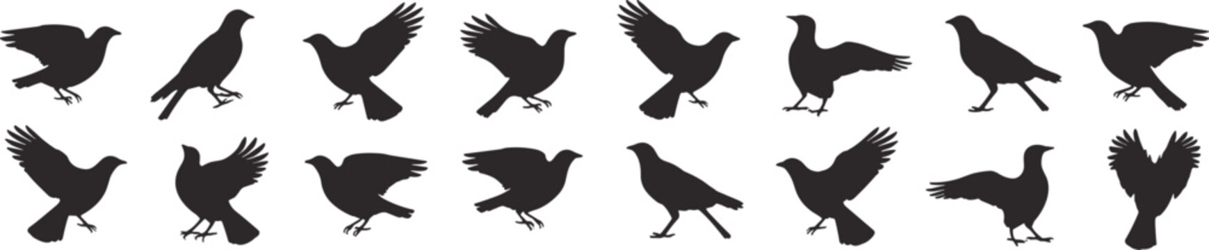Silhouettes of birds in flight and perched on white background Keywords: bird, silhouette