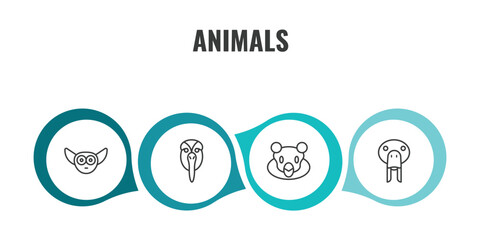 animals outline icon set. thin line lemur, albotros, snigir, sea cow icons. editable vector © Farahim