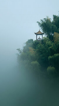 Silhouette of a person playing zither in pavilion atop bamboo forest shrouded in mist