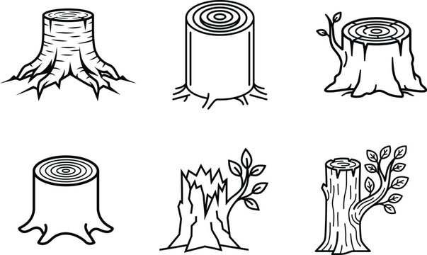 tree stumps and trunks with roots and leaves  various wood cut stumps