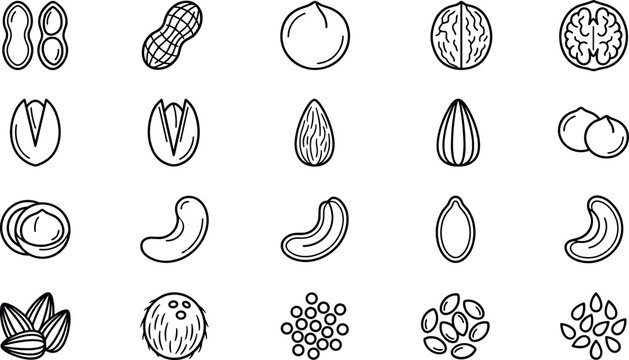 Vector nut icons featuring organic healthy snacks grain seeds coconut macadamia and pumpkin seed symbols
