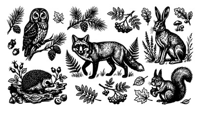 Vintage Linocut Woodland Animals Vector Set with Fox Owl Rabbit Hedgehog Squirrel and Autumn Forest Botanical Elements for Rustic Graphic Designs © Hosneara