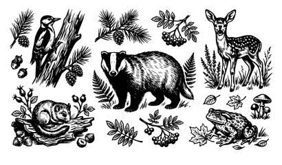 Vintage Linocut Forest Animal Set featuring European Badger Fawn Deer Woodpecker Dormouse and Toad in Woodland Environment Vector Design Elements © Hosneara