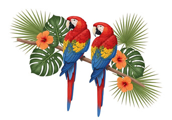 Two vibrant scarlet macaws perched on a tropical branch with hibiscus flowers and palm leaves © Mamun