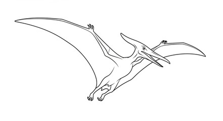 Pterodactyl flying prehistoric creature line drawing. © Dadi