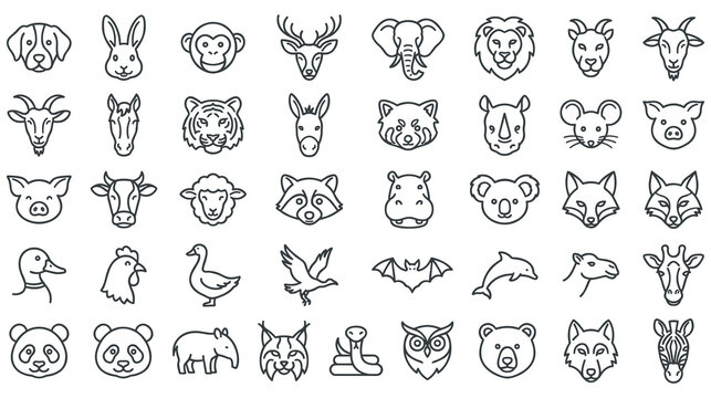 Animal head icons set in thin line style for zoo design.