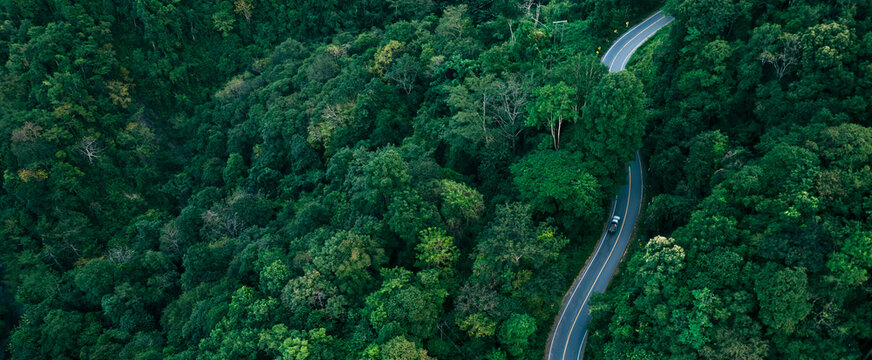 Curving road through a dense tropical forest symbolizing balance between infrastructure and nature. Perfect background for sustainability, environmental protection, green investment and eco business t