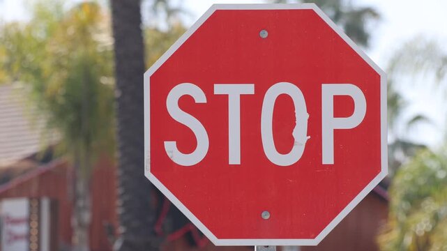 Stop Sign With Tropical Trees In Background