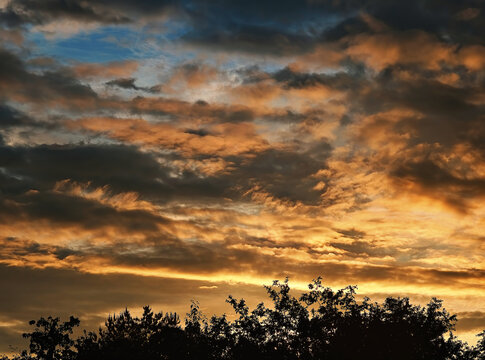 Dramatic sunset in forest silhouette background