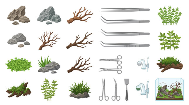 Aquarium plants and decoration tools.