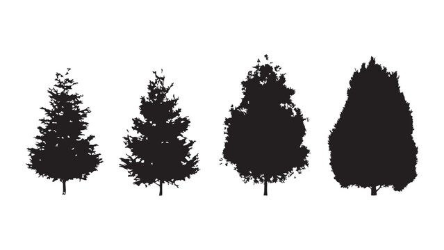 Black silhouette collection of pine and fir trees for forest landscape design and layouts.