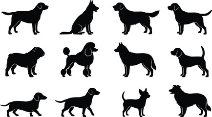 Dog breed silhouette icon set featuring domestic pets puppies standing sitting walking popular canines vector graphic collection © MD