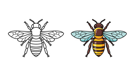 Fototapeta premium Illustration of a honey bee in two versions with one black and white line drawing and one colored icon on a white background.