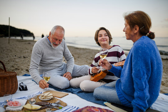 Grandparents enjoying beach picnic with teenage granddaughter playing ukulele by sea.