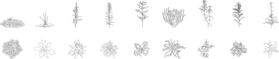 Colonizing & Shrubby Weeds plants, top and front view, landscape, floor plan, architectural plants, shrubs, symbol, cad, customizable stroke, vector © Hasan