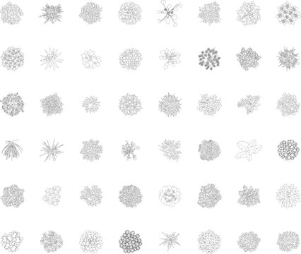 flowering architectural plants, set of trees, floor plan, landscape, vegetation, shrubs, symbol, architectural plan, top view, elevation, blueprint, editable stroke, vector