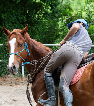 Young Man Getting on a Horse