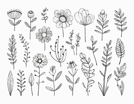 Doodle ink floral sketch set, vector flower brushstroke collection, hand drawn organic icon kit. Abstract naive botanical outline modern spring decoration design element. Doodle floral texture clipart