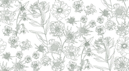 Obraz premium Vintage green pattern with daisies, flowers on a transparent background, for the production of fabrics, wallpaper, packaging 