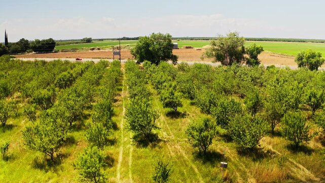 Drone aerial view of farmstead and acres of farmland in Chico, California 
