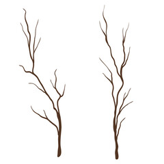 Fototapeta premium Autumn dry decorative tree branches isolated on white background. Vector hand drawn simple abstract illustration for harvest design, packaging, rustic decor, sticker