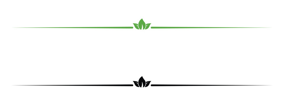 Nature leaf divider line vector with elegant botanical accent. Vector illustration and transparent PNG.