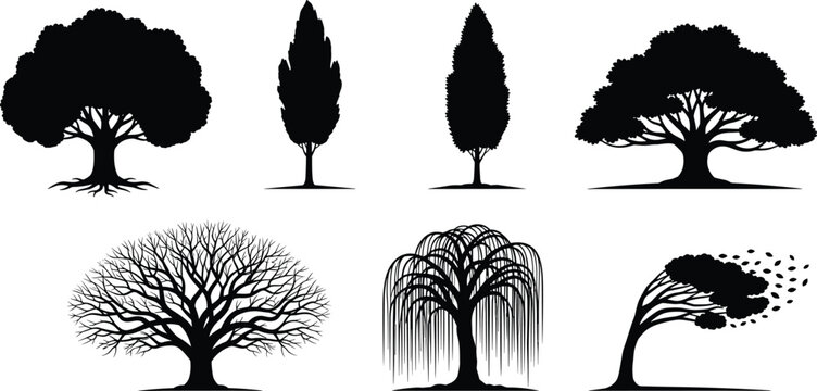Detailed Black Tree Silhouette Vector Collection Featuring Oak Cypress Weeping Willow and Wind Blown Shapes for Landscape Design Nature Icons and Environmental Graphic Projects