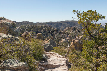Obraz premium Chiricahua National Monument located in the Chiricahua Mountains of southeastern Arizona.