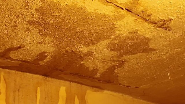 Water dripping from ceiling cracks and stains, highlighting structural damage and decay. Close-up view of a textured ceiling with visible water stains and active drips, indicating a leak and potential