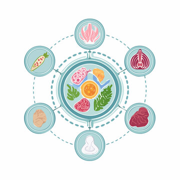 Healthy Food Ingredients and Nutrition Diagram