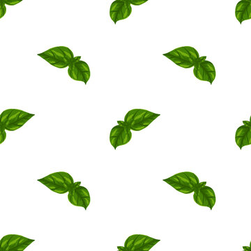 Green leaves seamless pattern vector hand drawn illustration. Green basil or herb salad leaf repeated ornament. Print for textile, fabric, background and vegetarian packaging isolated on white