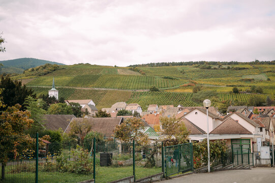Alsace Wine Route vineyards above traditional village in northeastern France