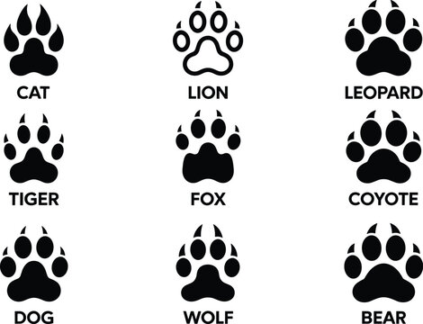 Nine Animal Paw Print Icons with Labels lion leopard