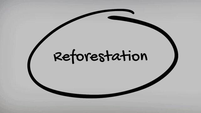 write sentence restorations