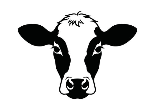 Cow head vector illustration/logo