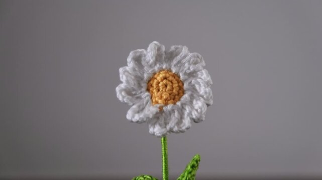 Hand making crochet daisy flower representing nature and craft.