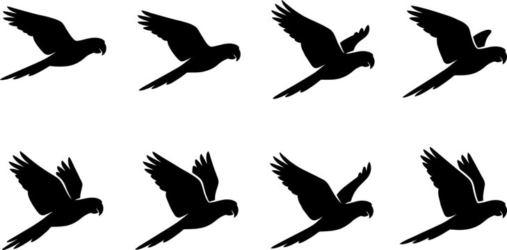 Set of black silhouette parrots in diverse flight patterns isolated on a plain white background