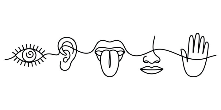 Five human senses represented by single line art icons of body parts