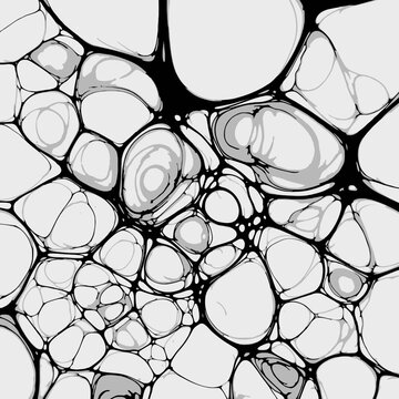 Abstract grayscale cellular pattern. Organic network background resembling interconnected bubbles, cells, or tissue.