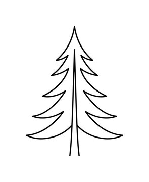 Stylized pine tree silhouette with a pointed top and horizontal branches, minimalist elegant black line art illustration, isolated