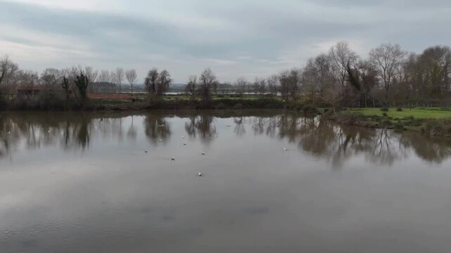 Aerial view of Kizilirmak Delta featuring bare trees reflected in calm water with birds under an overcast sky in Bafra, Samsun, Turkey.