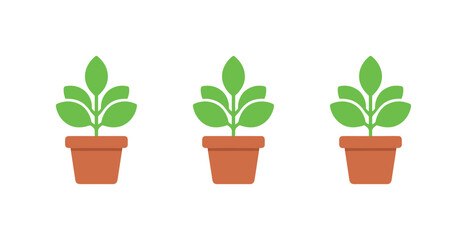 Fototapeta premium Bright open room shows identical office plants standing in a row, same pot size and leaf silhouettes evenly spaced on a pure white