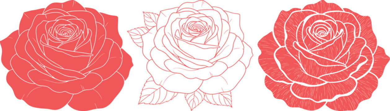 Elegant red rose flower illustration set with detailed petals and leaves, minimalist floral design artwork isolated on white background
