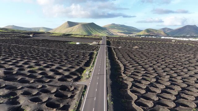 La Geria volcanic vineyards drone view Lanzarote Canary Islands