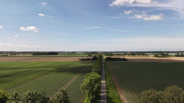 4K aerial flyover in the Noordoostpolder over a straight road. Sunny agricultural landscape with blue skies, cloud shadows, and farms.