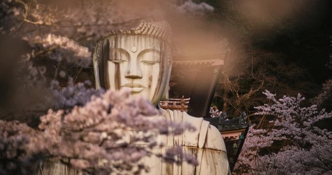 Beautiful head of ancient buddha statue behind spring cherry blossom branches - rack focus closeup shot