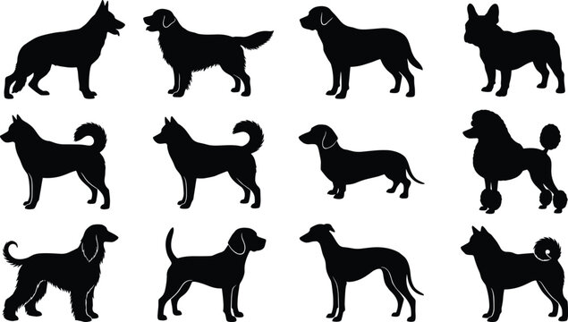 Collection of silhouette dog breeds in various poses