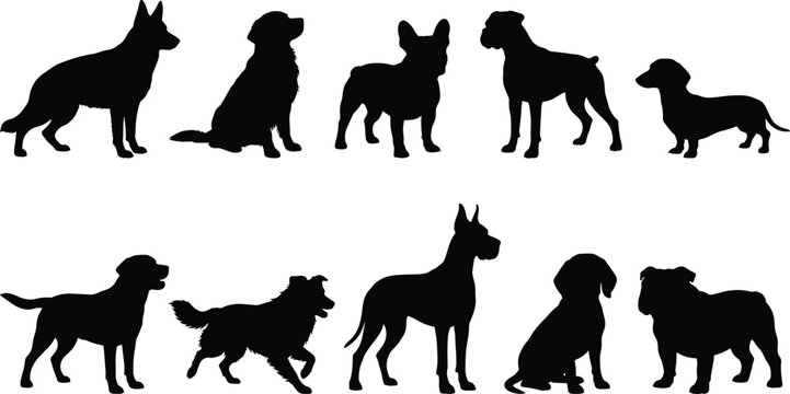 Collection of Diverse Dog Breed Silhouettes in Various Poses, Showcasing Different Body Types and Styles